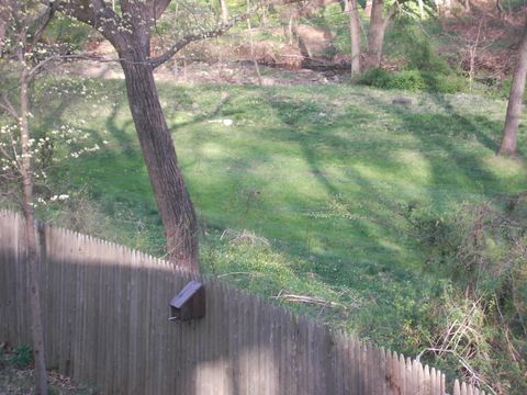 Spring at Slot-1